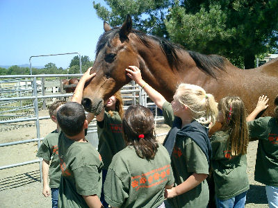 Kids with Horses